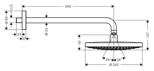 верхний душ с держателем hansgrohe raindance select s 240 2jet 26466400