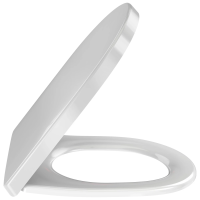 Сиденье для унитаза Jacob Delafon Odeon Rive Gauche E24888-00 белое