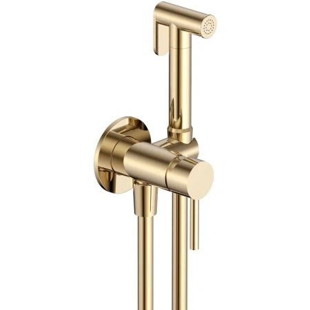 Гигиенический душ AQUAme Siena AQM6217BG со смесителем, золотой матовый