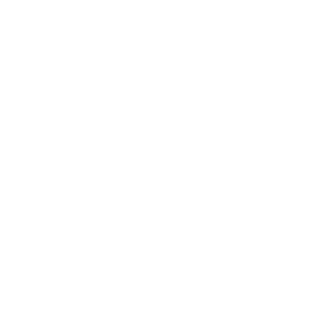 набор для биде elghansa shower spray br-05c с держателем и шлангом