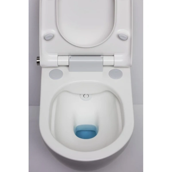 унитаз-биде подвесной laufen cleanet riva 8.2069.1.400.000.1
